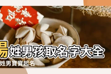 【楊姓男生姓名】楊姓男孩取名字大全 |楊姓男寶寶起名字大全 |姓楊男寶寶名字大全 |