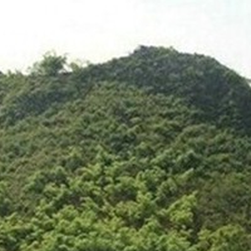 3、中國十大風水城市有哪些?
