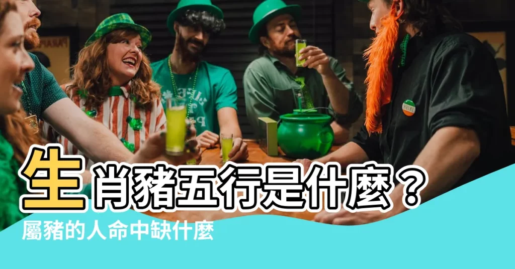 【豬五行屬什麼】生肖豬五行是什麼？屬豬的人命中缺什麼？