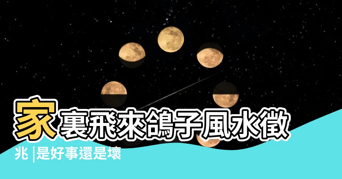 【鴿子進家門】家裏飛來鴿子風水徵兆 |是好事還是壞事 |鴿子飛進屋預示着什麼 |