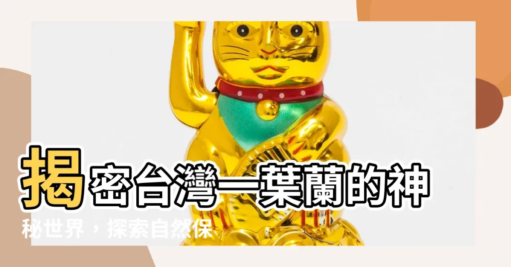 【一葉蘭】揭密台灣一葉蘭的神秘世界，探索自然保留區的奇幻