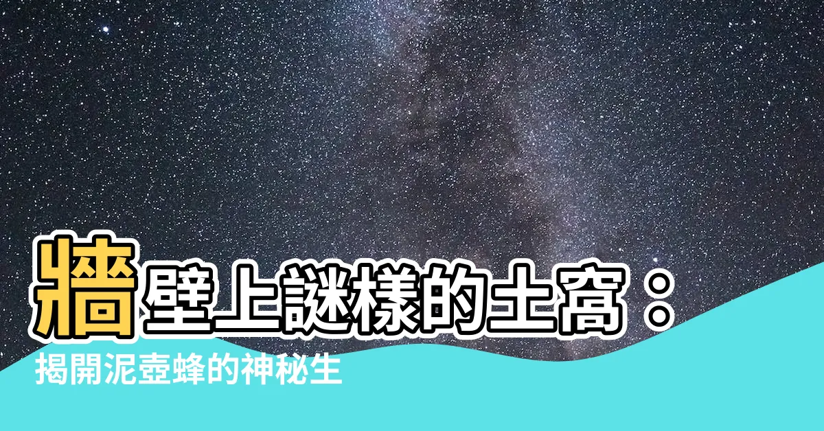 【牆壁土窩】牆壁上謎樣的土窩：揭開泥壺蜂的神秘生態