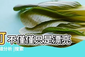 【右眼眼角下面有痣好不好】可不僅僅只是漂亮 |詳細分析 |搜索結果 |