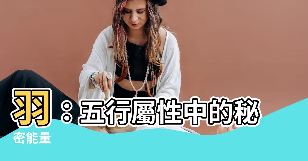 【羽 五行】羽：五行屬性中的秘密能量
