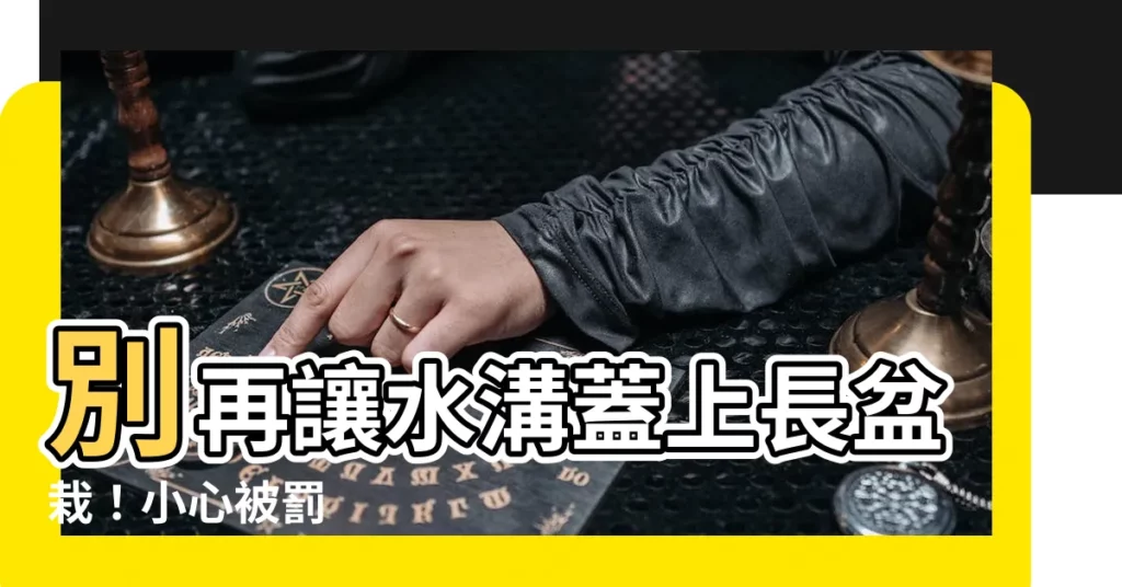 【水溝蓋上放盆栽】別再讓水溝蓋上長盆栽！小心被罰