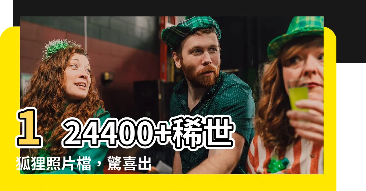 【狐狸的照片】124400+稀世狐狸照片檔，驚喜出奇不意的狐狸圖像!