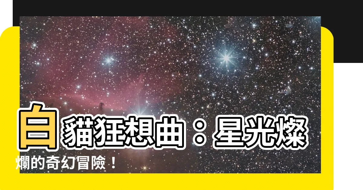 【白貓】白貓狂想曲：星光燦爛的奇幻冒險！