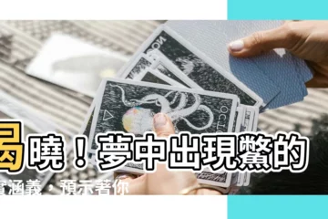 【夢見鱉】揭曉！夢中出現鱉的真實涵義，預示著你不可不知的吉運凶兆