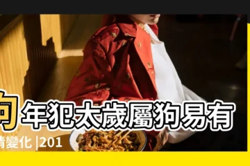 【2018屬狗射手座女全年運勢】狗年犯太歲屬狗易有感情變化 |2018年出生屬狗人2024年全年運勢生肖狗龍年每月運勢 |屬狗射手座2018年運勢難免破財務必當心 |