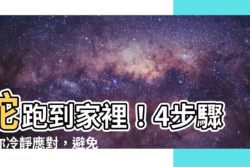 【蛇跑到家裡】蛇跑到家裡！4步驟教你冷靜應對，避免衝突與協助重返自然
