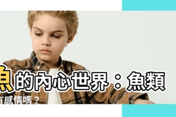 【魚 意思】魚的內心世界：魚類也有感情嗎？
