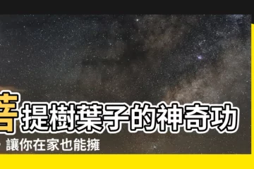 【菩提樹葉子功能】菩提樹葉子的神奇功效，讓你在家也能擁有無瑕美肌
