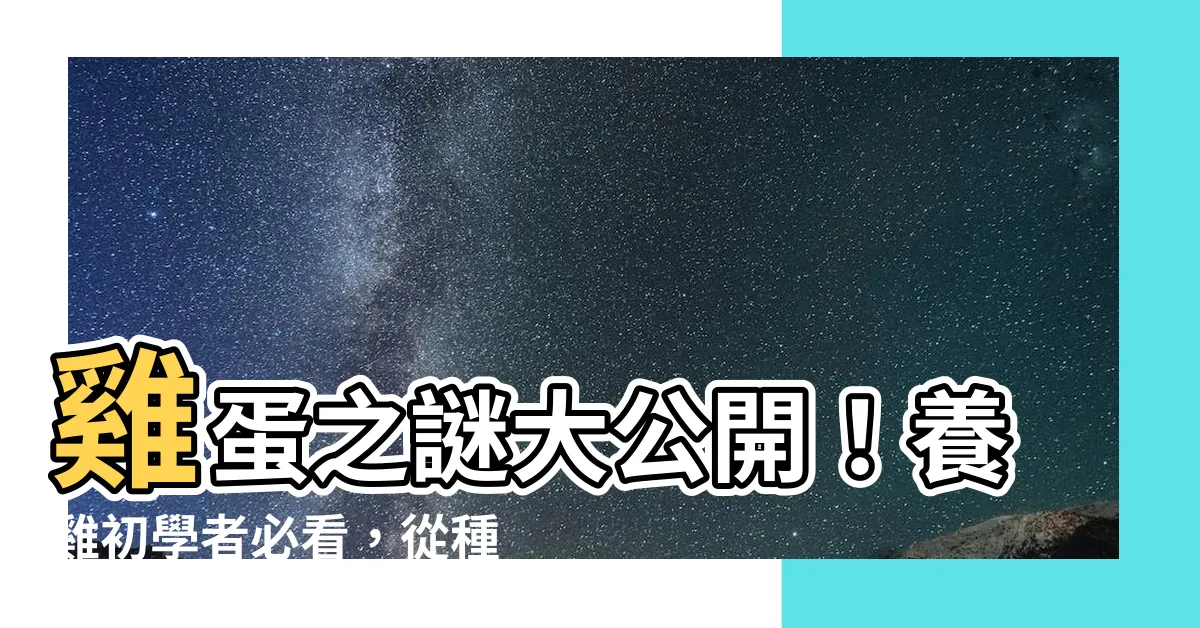 【養 雞】雞蛋之謎大公開！養雞初學者必看，從種雞到上桌，打造雞蛋自由