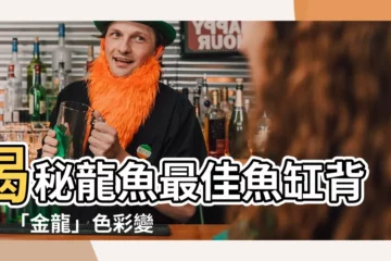【龍魚魚缸背景】揭秘龍魚最佳魚缸背景！「金龍」色彩變化的奧秘