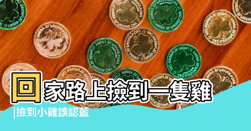 回家路上撿到一隻雞 |撿到小雞誤認藍腹鷴專家 |路上撿到的小雞仔要人陪才不叫 |【路上撿到小雞仔】