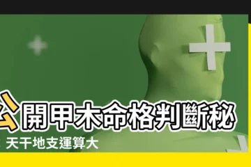 【甲木命格】公開甲木命格判斷秘訣：天干地支運算大解析