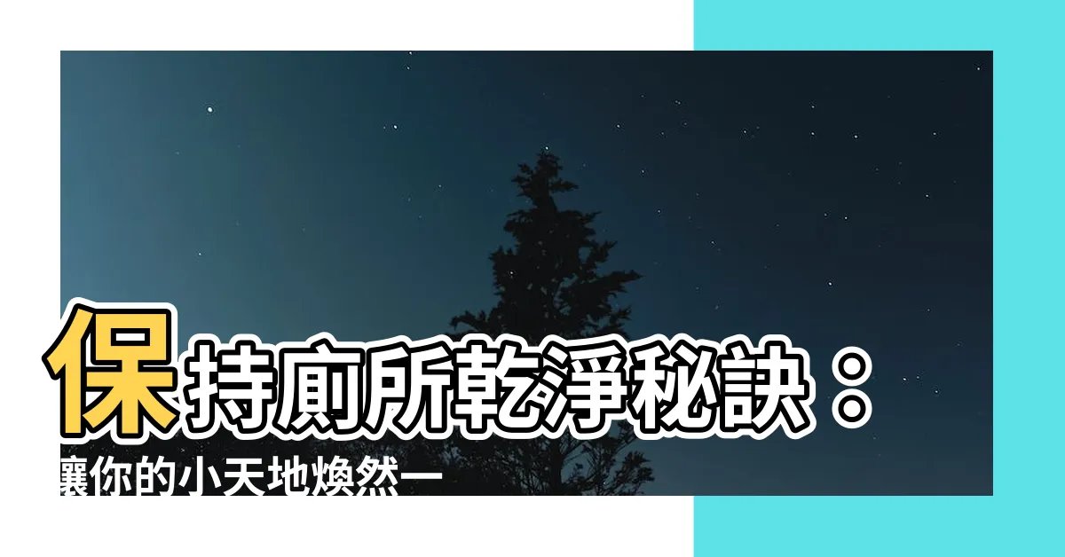 【保持廁所乾淨】保持廁所乾淨秘訣：讓你的小天地煥然一新