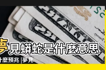 【夢到很多大蟒蛇在家裏】夢見蟒蛇是什麼意思有什麼預兆 |夢見家裏有很多蛇 |女人夢見好多大蟒蛇是什麼意思 |