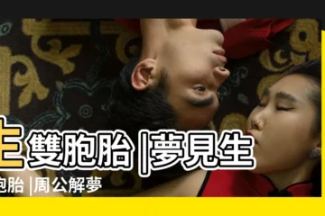 【夢見雙胞胎一樣的呢】生雙胞胎 |夢見生雙胞胎 |周公解夢 |