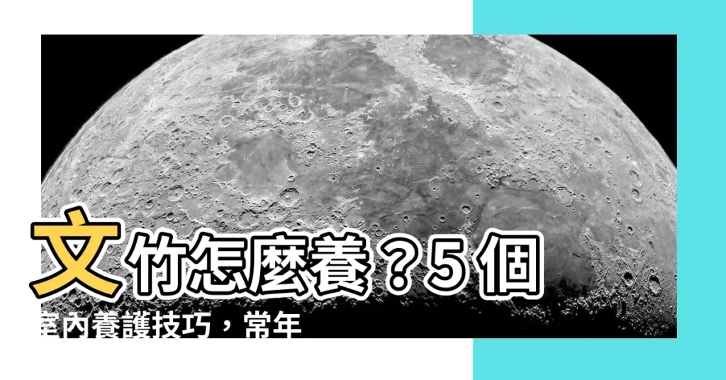 【文竹怎麼養】文竹怎麼養？5 個室內養護技巧，常年綠油油的「小小森林」