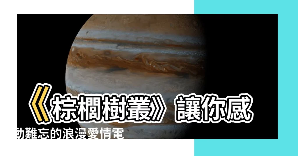 【棕櫚樹叢】《棕櫚樹叢》讓你感動難忘的浪漫愛情電影