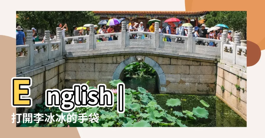 English |打開李冰冰的手袋 |藏徒第四章嫌疑人X |【哪個明星曾在左邊眉毛上削了兩豎】