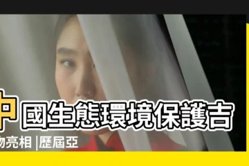 【跟水有關的吉祥物名字叫什麼名字叫什麼名字】中國生態環境保護吉祥物亮相 |歷屆亞運會吉祥物回顧哪一款是你的最愛 |絕區零吉祥物叫什麼絕區零吉祥物名字和形象介紹 |