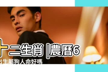 【六月狗和十二月和的狗】十二生肖 |農曆6月出生屬狗人命好嗎 |你是幾月出生 |