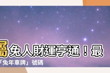 【屬兔車牌】屬兔人財運亨通！最旺「兔年車牌」號碼一次揭曉，四數字招財運