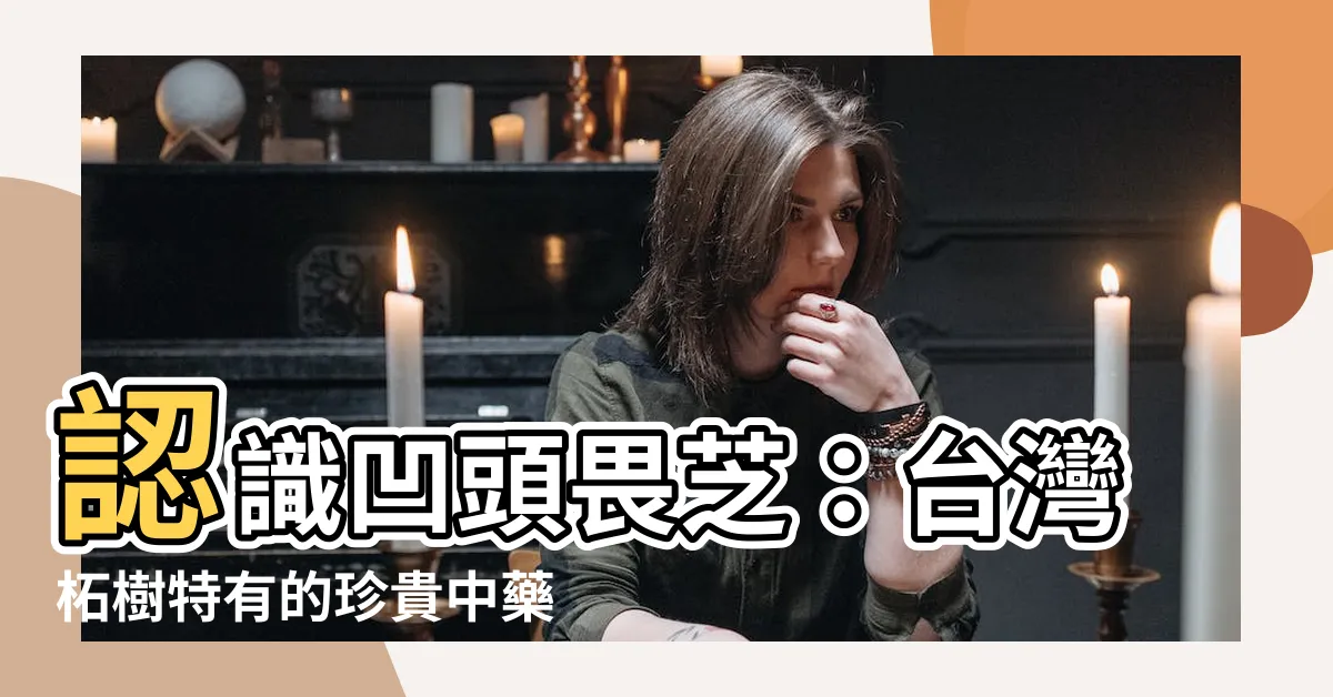 【凹頭畏芝】認識凹頭畏芝：台灣柘樹特有的珍貴中藥材