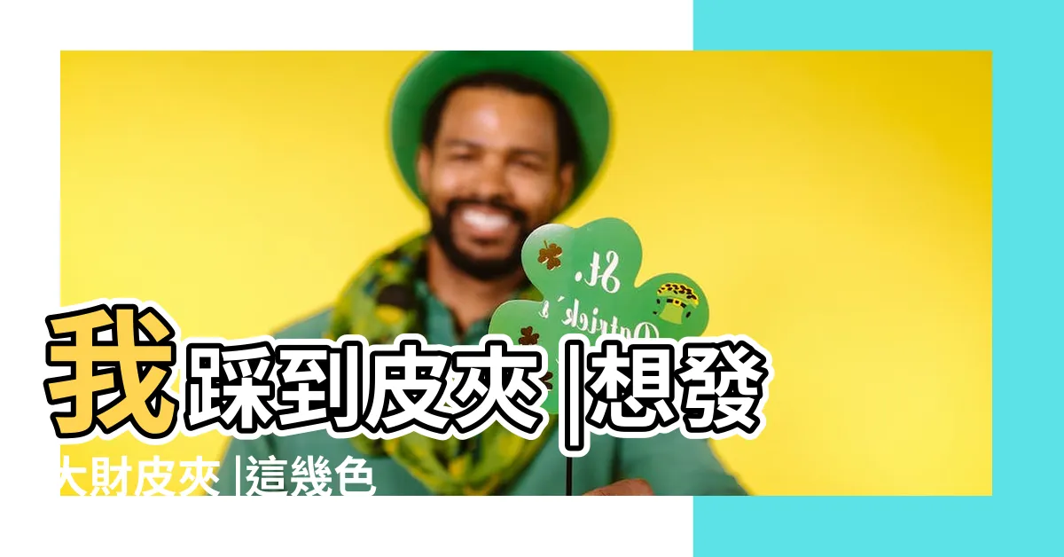 【粉紅色皮夾】我踩到皮夾 |想發大財皮夾 |這幾色才是正解 |