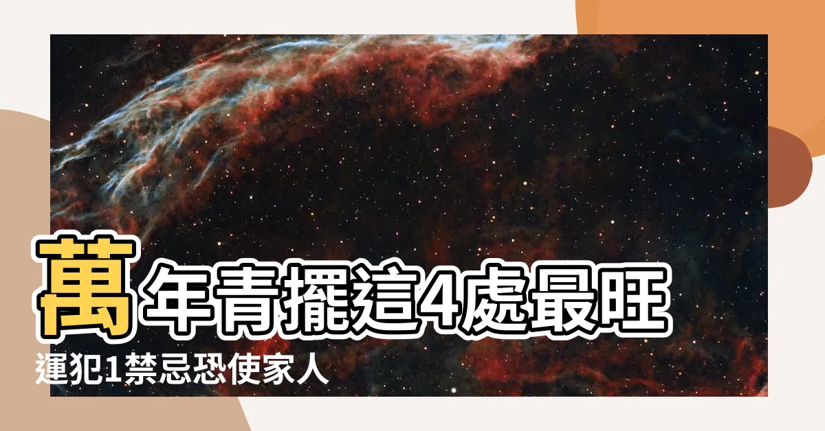 【萬年青富貴竹】萬年青擺這4處最旺運犯1禁忌恐使家人破財 |