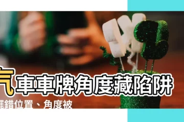 【汽車車牌角度法規】汽車車牌角度藏陷阱！擺錯位置、角度被罰不冤枉