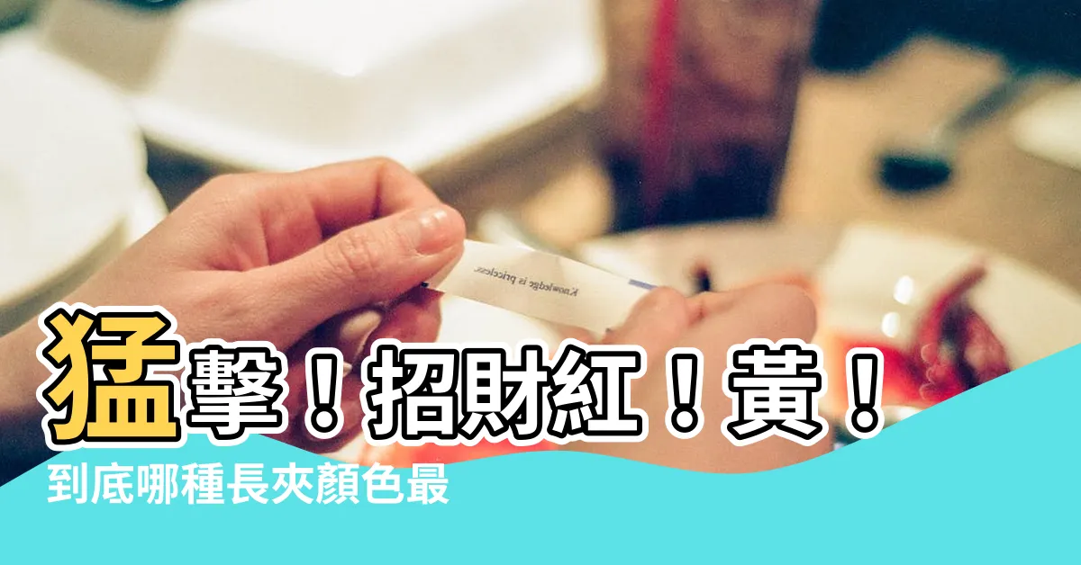 【長夾 顏色 招財】猛擊！招財紅！黃！到底哪種長夾顏色最能讓你的財運爆棚？
