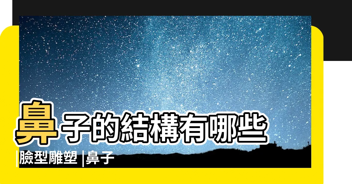 【鼻子 部位】鼻子的結構有哪些 |臉型雕塑 |鼻子分區雕刻 |