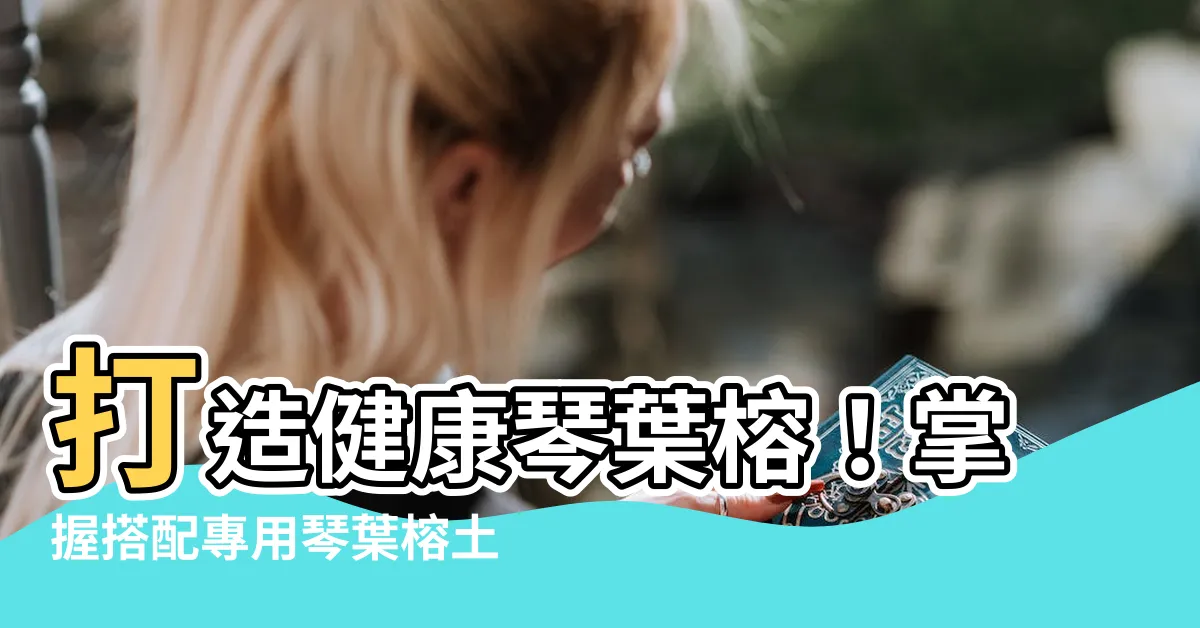 【琴葉榕土壤】打造健康琴葉榕！掌握搭配專用琴葉榕土壤的養護秘訣