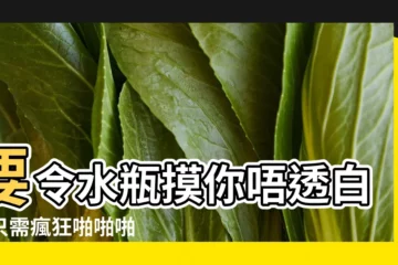 【白羊座啪啪啪視頻】要令水瓶摸你唔透白羊只需瘋狂啪啪啪 |幼女淫蕩視頻 |純欲少女白白白羊直播福利2022 |