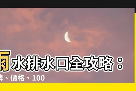 【雨水排水口】雨水排水口全攻略：品牌、價格、1000款推薦一次看！