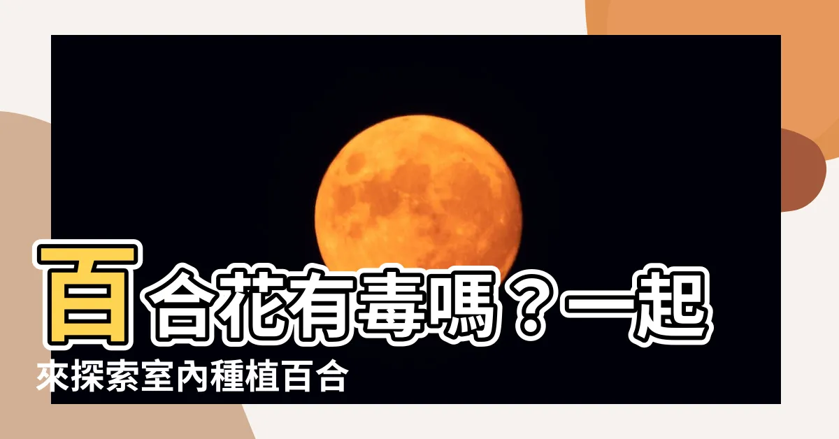 【百合花有毒】百合花有毒嗎？一起來探索室內種植百合花的安全與養護方式