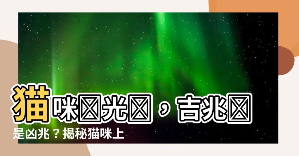【貓來家好嗎】貓咪來光顧，吉兆還是凶兆？揭秘貓咪上門背後的徵兆
