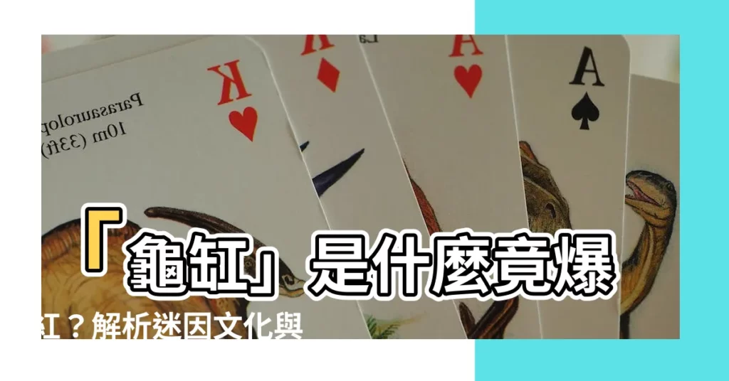 【龜缸意思】「龜缸」是什麼竟爆紅？解析迷因文化與正字用法