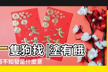 【狗啃的似的是什麼意思】一隻狗找 |塗有餓莩而不知發是什麼意思 |是想告訴你這些事 |