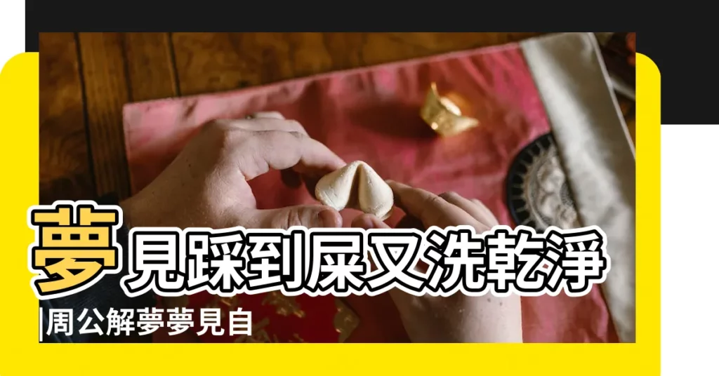 夢見踩到屎又洗乾淨 |周公解夢夢見自己拉屎弄在自己褲腳上然後刷洗掉是 |夢見沖洗大便 |【周公解夢拉大便後洗掉】