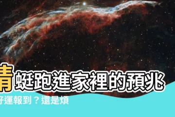 【蜻蜓跑進家裡】蜻蜓跑進家裡的預兆：好運報到？還是煩惱無窮？