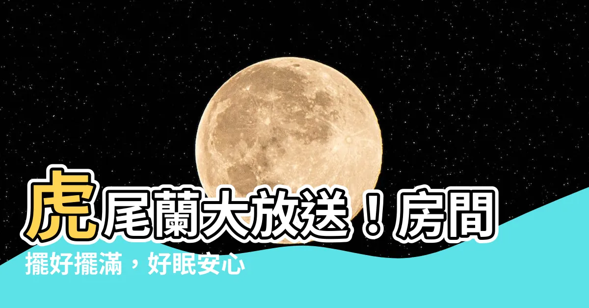 【虎尾蘭 房間】虎尾蘭大放送！房間擺好擺滿，好眠安心又健康！