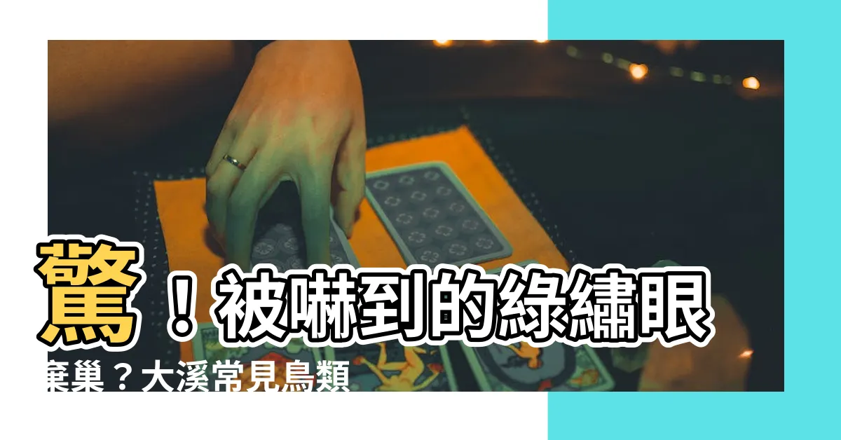 【綠繡眼會棄巢嗎】驚！被嚇到的綠繡眼棄巢？大溪常見鳥類生態探秘