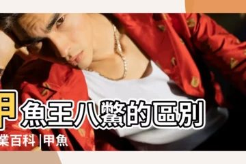 【烏龜與甲魚有什麼區別】甲魚王八鱉的區別 |行業百科 |甲魚和烏龜有什麼區別呢 |