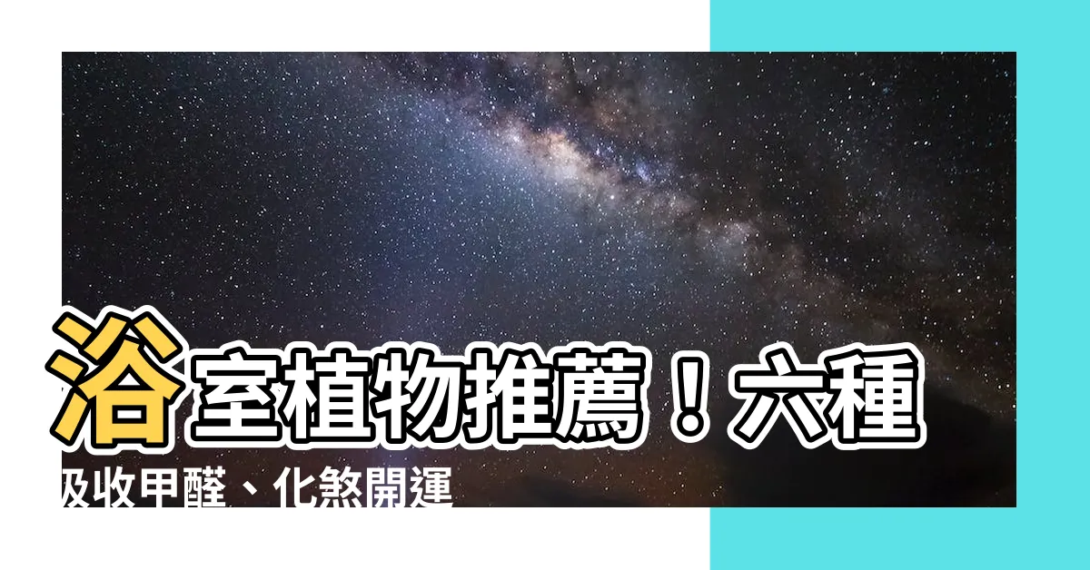 【浴室植物推薦】浴室植物推薦！六種吸收甲醛、化煞開運的黃金葛