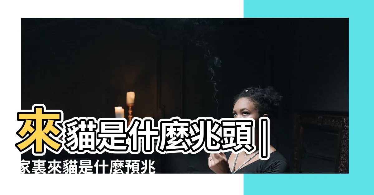 【家裡來貓】來貓是什麼兆頭 |家裏來貓是什麼預兆 |家裏突然跑來了一隻花貓是什麼徵兆 |