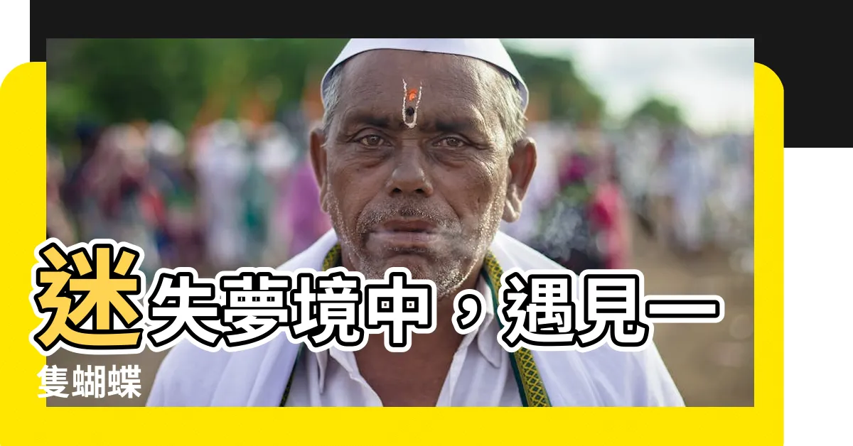 【夢見一隻蝴蝶】迷失夢境中，遇見一隻蝴蝶